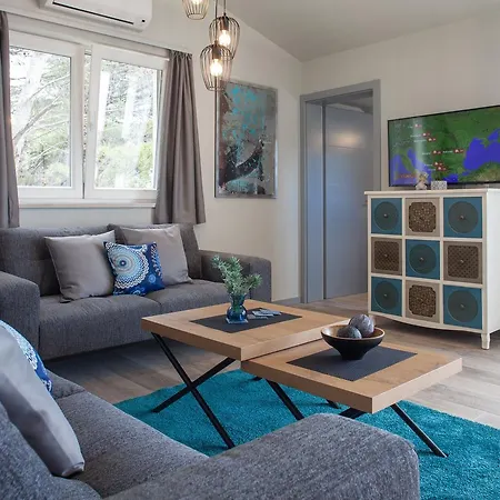 Vranjes Deluxe Apartman Brela